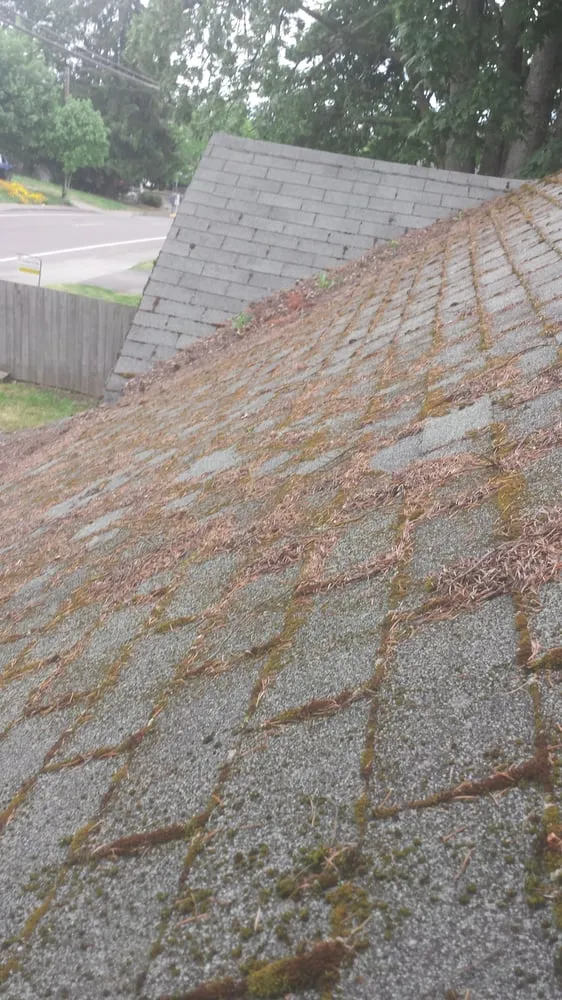 Local landscape installation for outdoor upgrades in Mcminnville, OR by Green and Clean Moss Removal