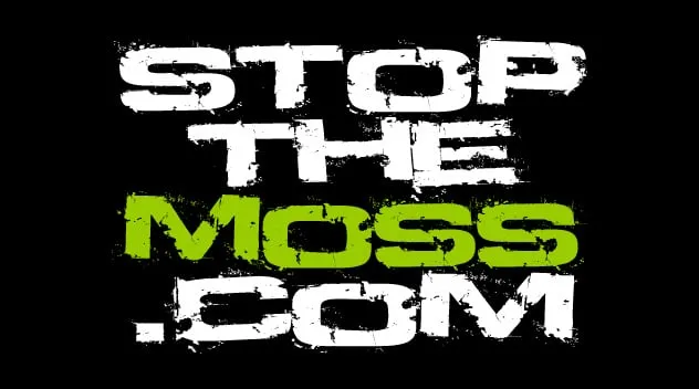 Professional lawn care service in Mcminnville, OR - Green and Clean Moss Removal