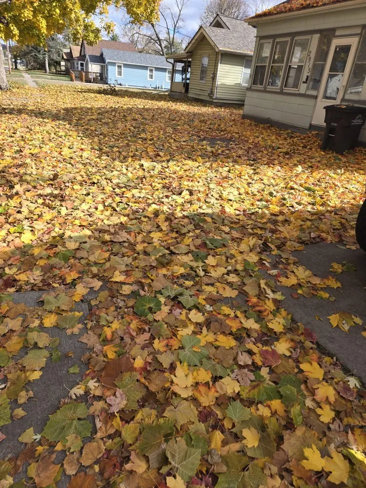 Top-rated landscape design experts serving Des Moines, IA - Green And Clear Solutions