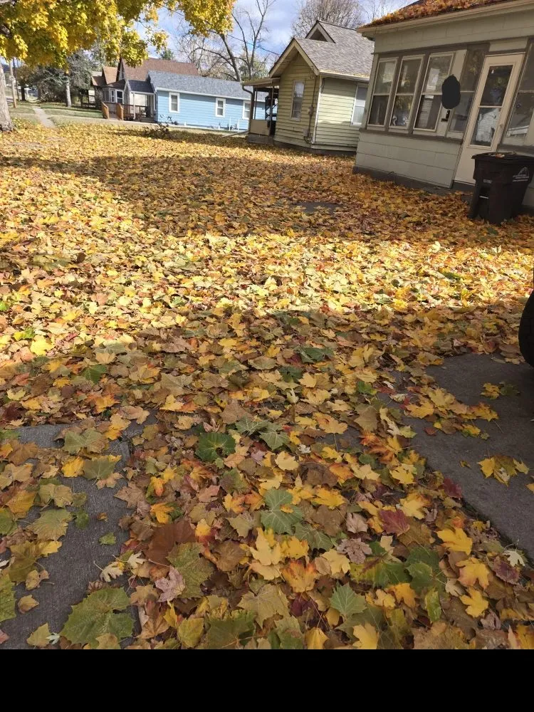 Custom landscape design in Des Moines, IA by Green And Clear Solutions