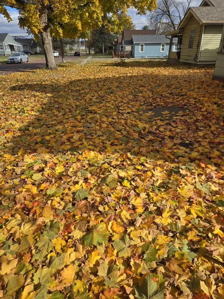 Reliable garden landscaping in Des Moines, IA by Green And Clear Solutions