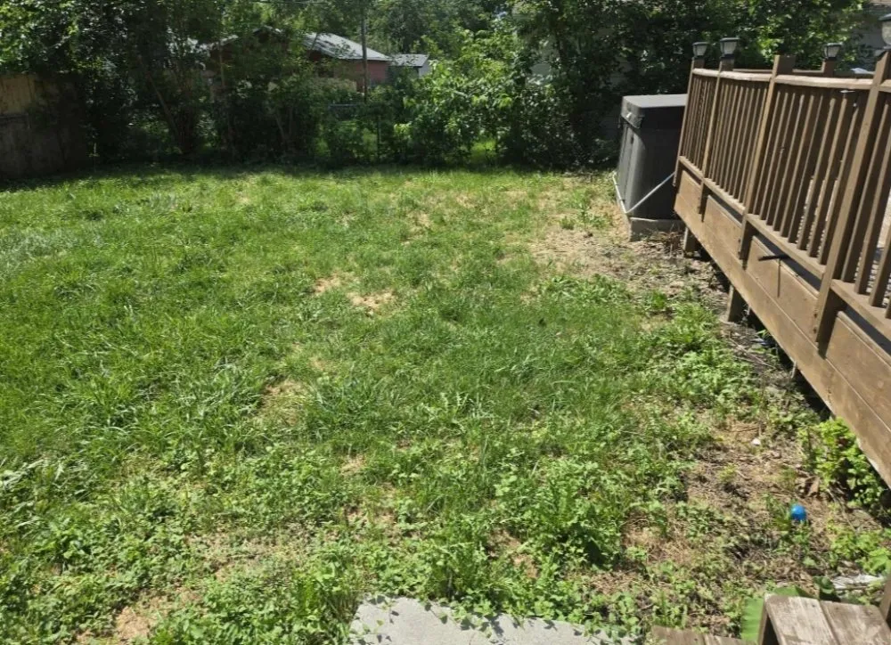 Expert residential landscaping experts serving Des Moines, IA - Green And Clear Solutions