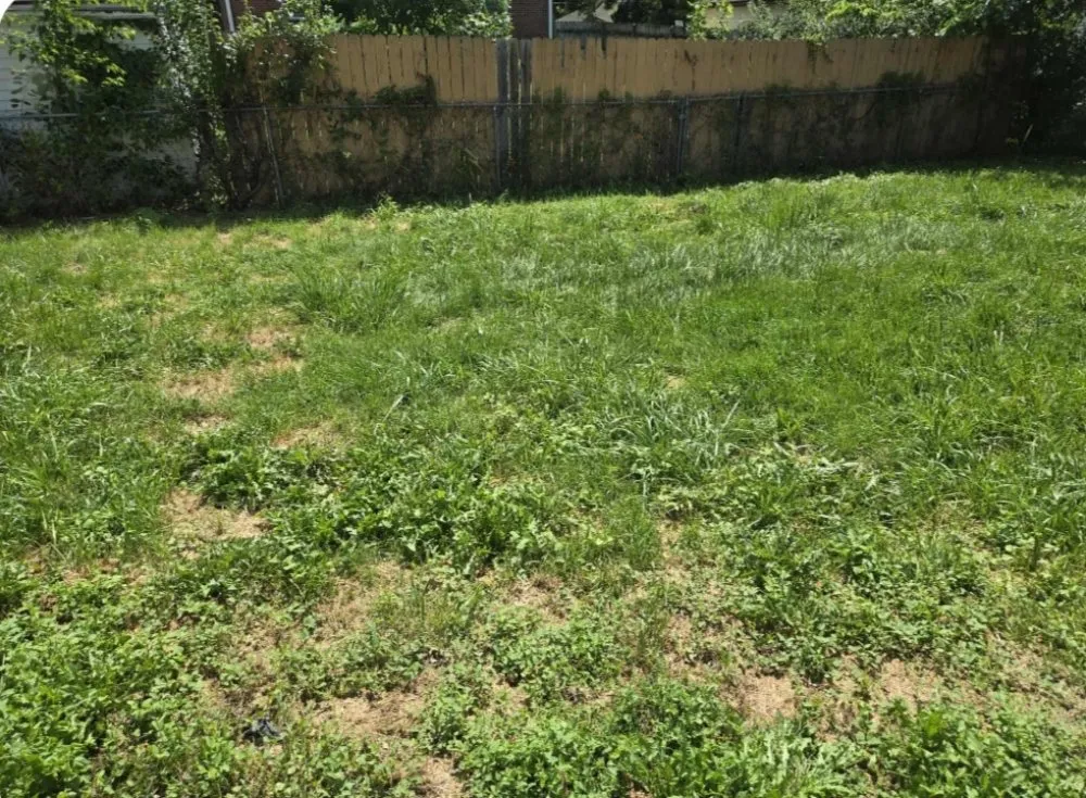 Local garden landscaping for residential properties across Des Moines, IA - Green And Clear Solutions