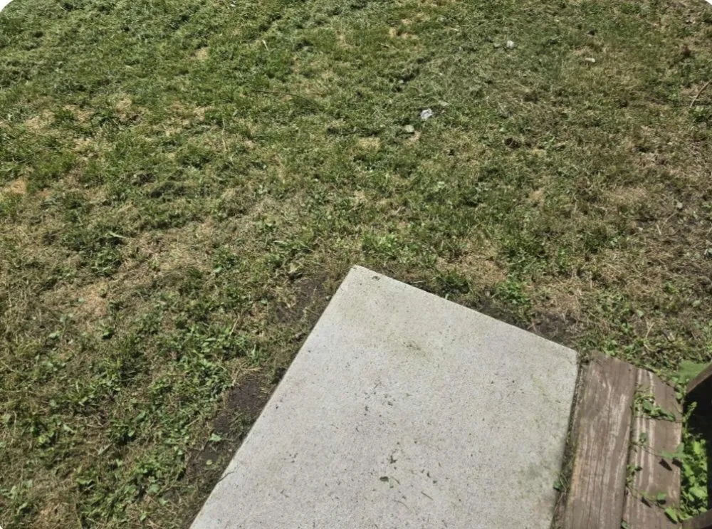 Trusted lawn care service experts serving Des Moines, IA - Green And Clear Solutions