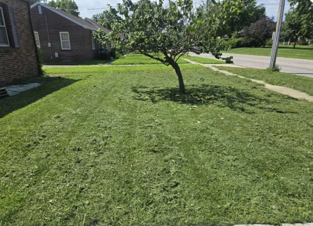 Trusted landscape installation in Des Moines, IA by Green And Clear Solutions