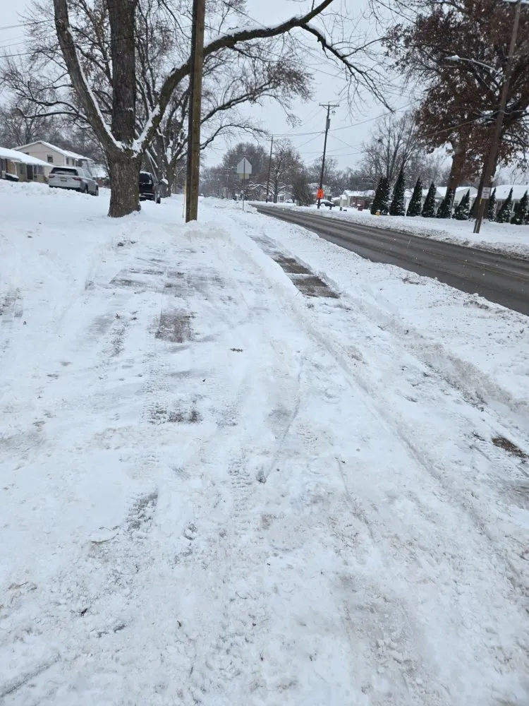 Top-rated yard cleanup service in Des Moines, IA - Green And Clear Solutions