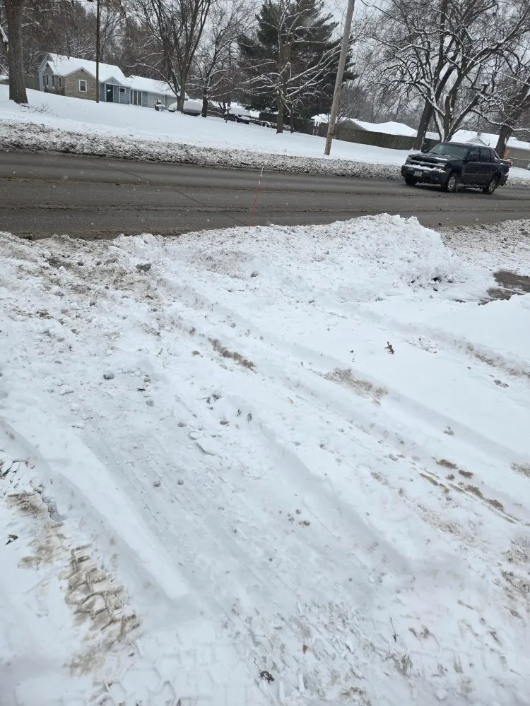 Local landscaping services in Des Moines, IA by Green And Clear Solutions