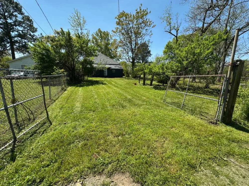 Professional yard cleanup service in Birmingham, AL by Green and Gold Lawn Care