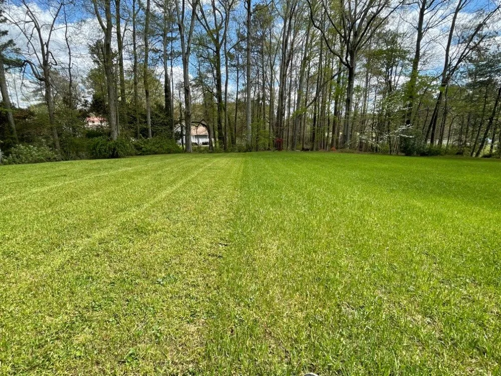 Top-rated residential landscaping for beautiful yards across Birmingham, AL - Green and Gold Lawn Care