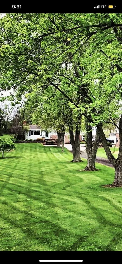 Affordable yard cleanup service for year-round maintenance in Bellville, OH by Green and Growing Lawn Care