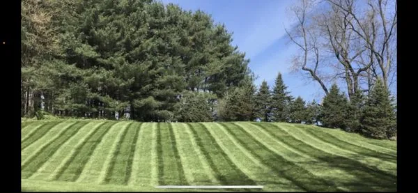 Green and Growing Lawn Care