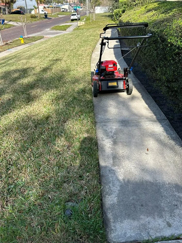 Expert garden landscaping experts serving Tampa, FL - Green and Mas Lawn Service