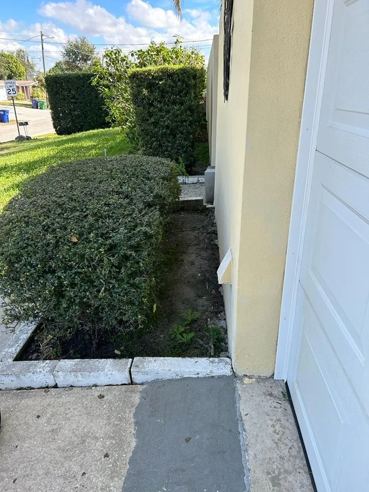 Expert yard maintenance in Tampa, FL - Green and Mas Lawn Service