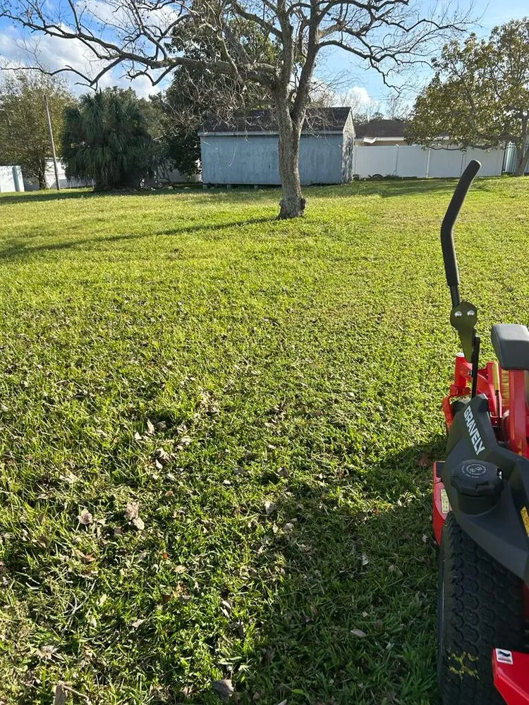 Affordable lawn mowing service experts serving Tampa, FL - Green and Mas Lawn Service