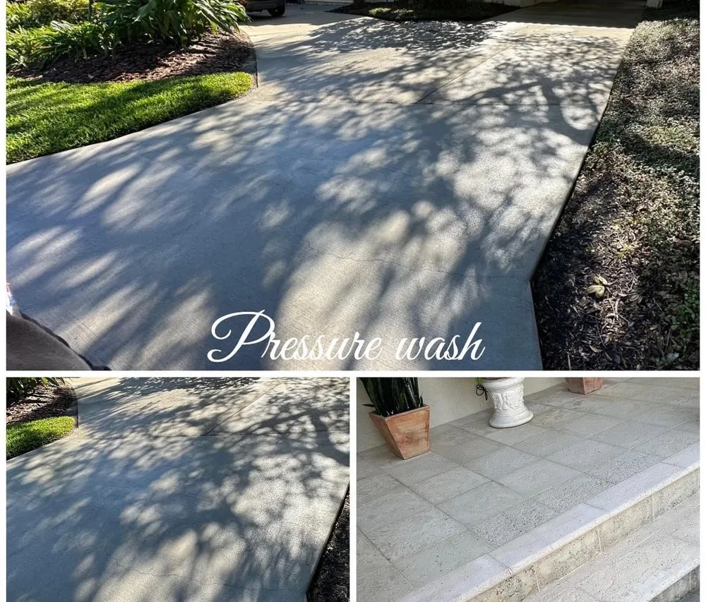 Custom lawn care service for year-round maintenance in Tampa, FL by Green and Mas Lawn Service