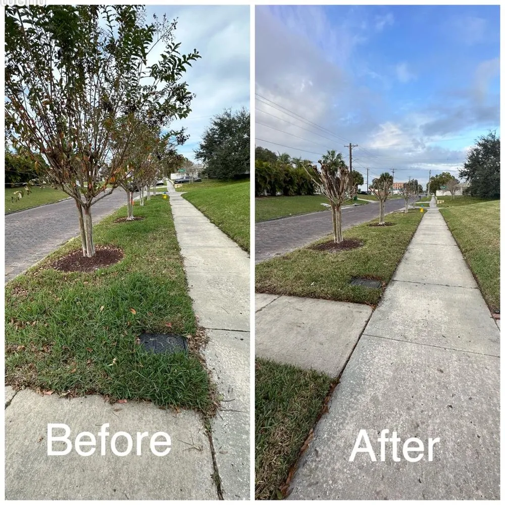 Trusted landscape installation in Tampa, FL - Green and Mas Lawn Service