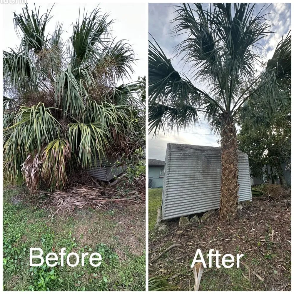 Custom landscape design for outdoor upgrades across Tampa, FL - Green and Mas Lawn Service