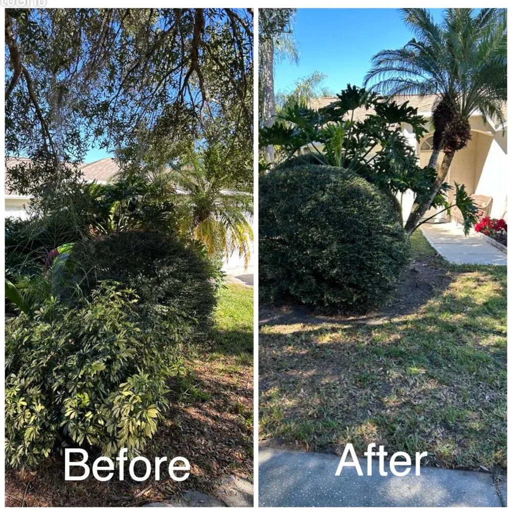 Expert residential landscaping in Tampa, FL - Green and Mas Lawn Service