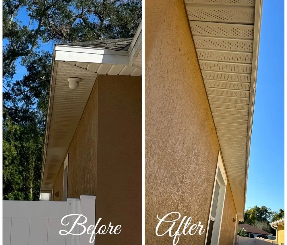 Top-rated lawn care service for residential properties across Tampa, FL - Green and Mas Lawn Service