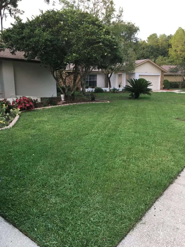 Top-rated yard maintenance experts serving New Port Richey, FL - Green And Pristine Lawn Care LLC.