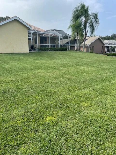 Custom landscape design for year-round maintenance across New Port Richey, FL - Green And Pristine Lawn Care LLC.