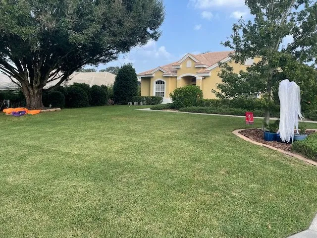 Trusted yard maintenance in New Port Richey, FL by Green And Pristine Lawn Care LLC.