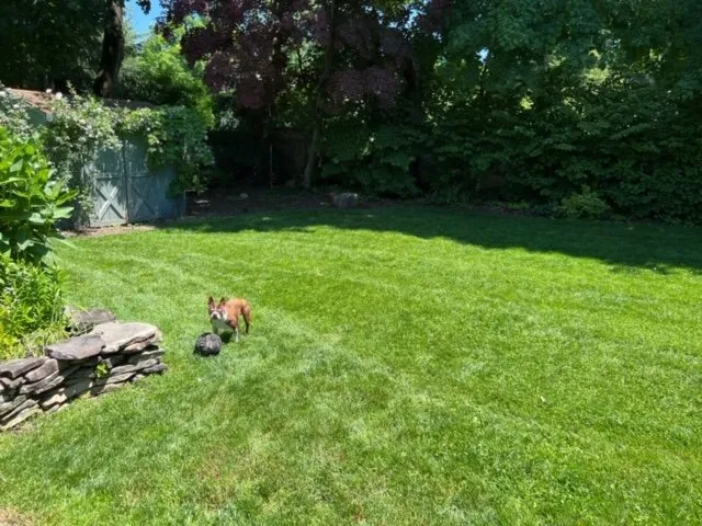 Top-rated garden landscaping experts serving Millbrook, NY - Green and Serene Lawn Care
