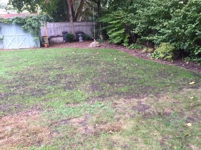 Top-rated residential landscaping in Millbrook, NY by Green and Serene Lawn Care