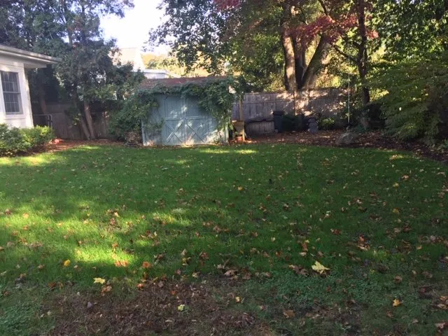 Trusted yard cleanup service in Millbrook, NY - Green and Serene Lawn Care