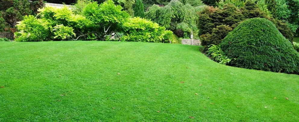 Trusted landscape installation for year-round maintenance across Brighton, CO - Green and Sons