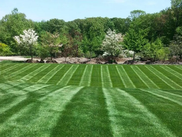 Professional landscape installation in Brighton, CO - Green and Sons