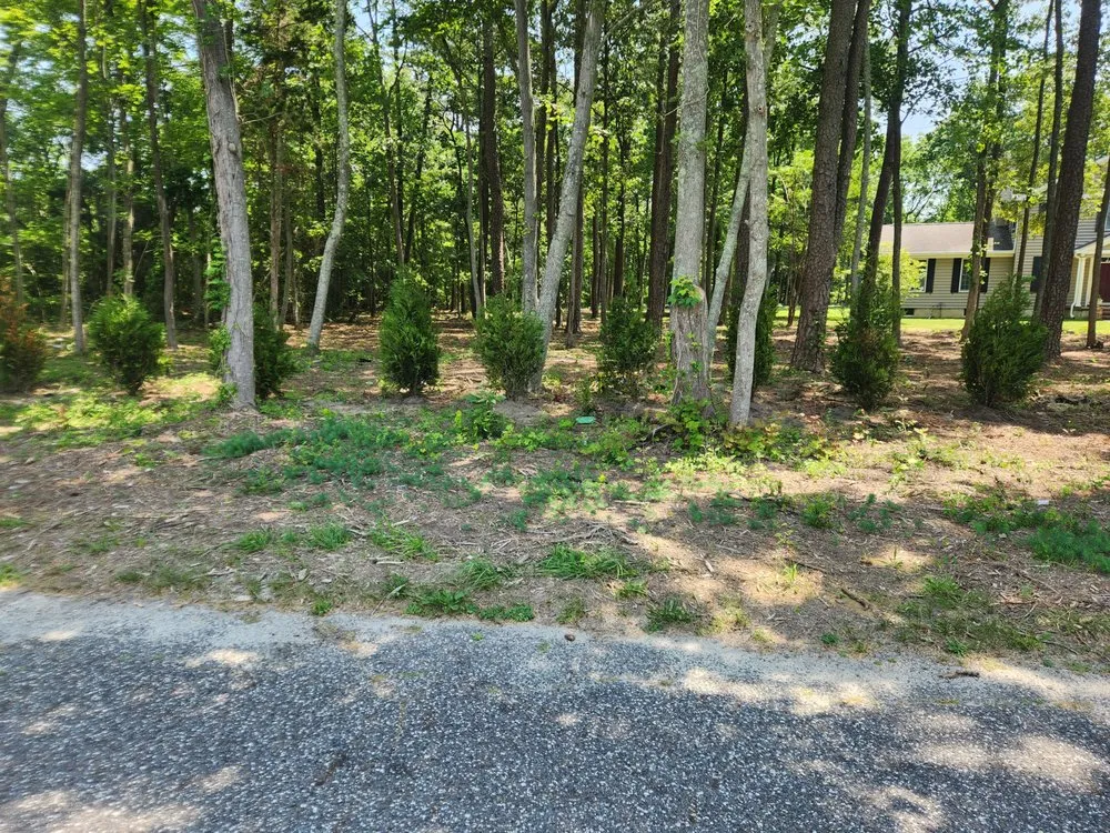 Expert outdoor landscaping for outdoor upgrades across Paulsboro, NJ - Green and Stone