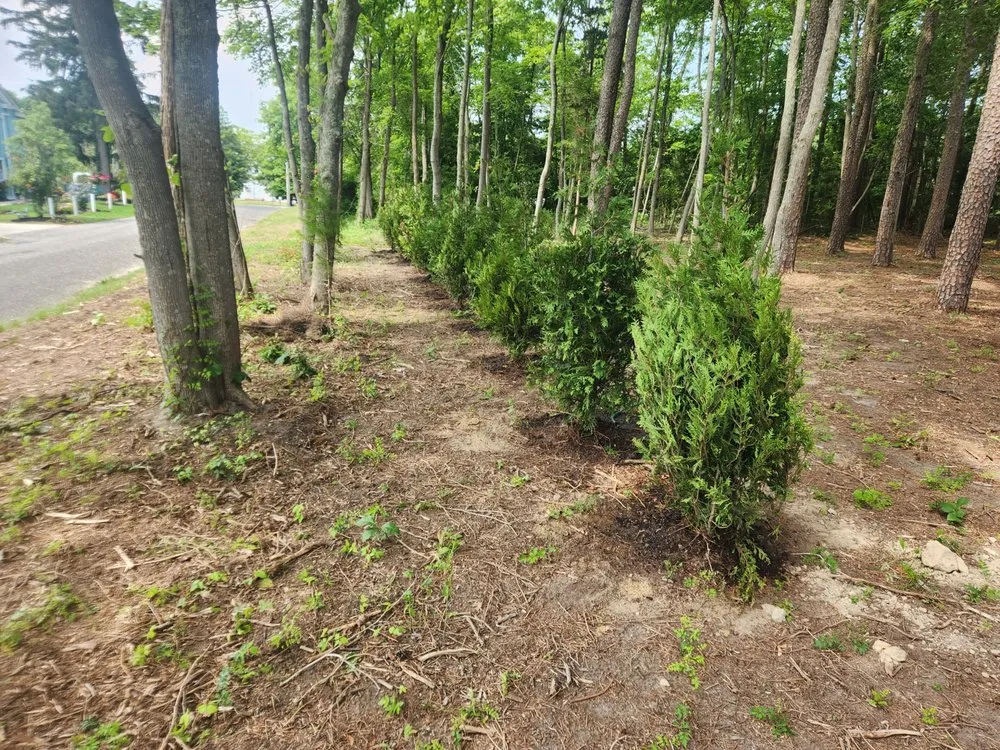 Local landscaping services with custom design across Paulsboro, NJ - Green and Stone