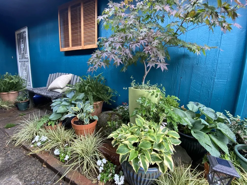 Top-rated landscape installation in Vancouver, WA by Green and Sunny Landscape Maintenance