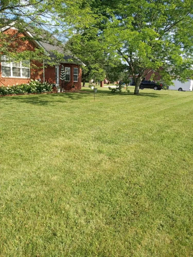 Affordable landscaping services in Smyrna, TN by Green and Thingz