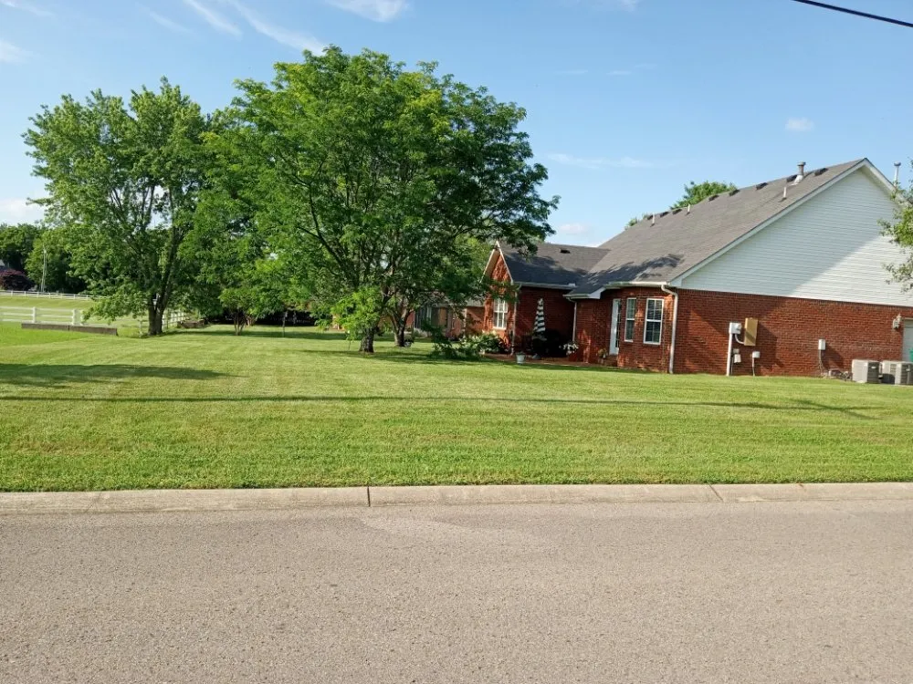 Custom lawn mowing service in Smyrna, TN - Green and Thingz