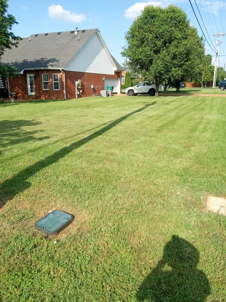 Expert garden landscaping in Smyrna, TN by Green and Thingz