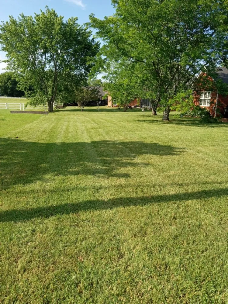 Professional lawn mowing service experts serving Smyrna, TN - Green and Thingz