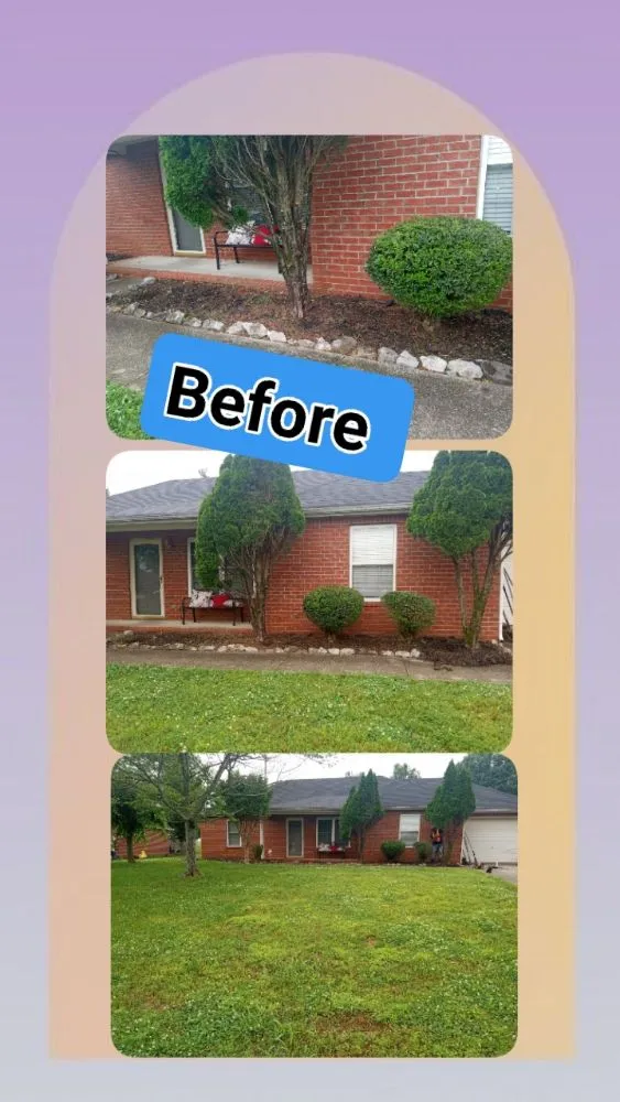 Top-rated garden landscaping with custom design across Smyrna, TN - Green and Thingz