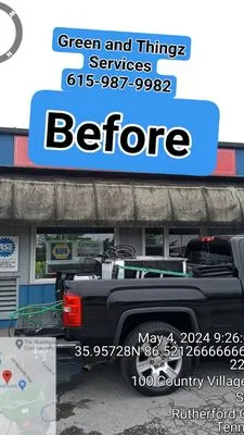 Green and Thingz Logo