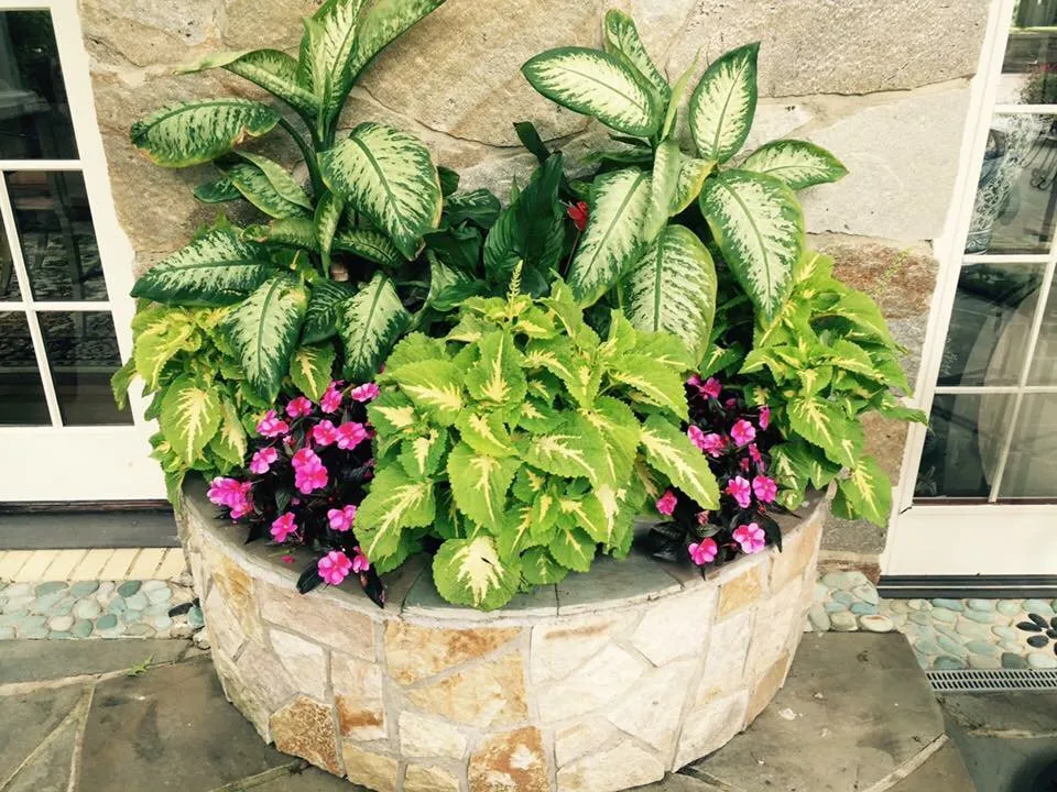 Local landscape installation for residential properties in Columbia, MD by Green Angels Landscaping