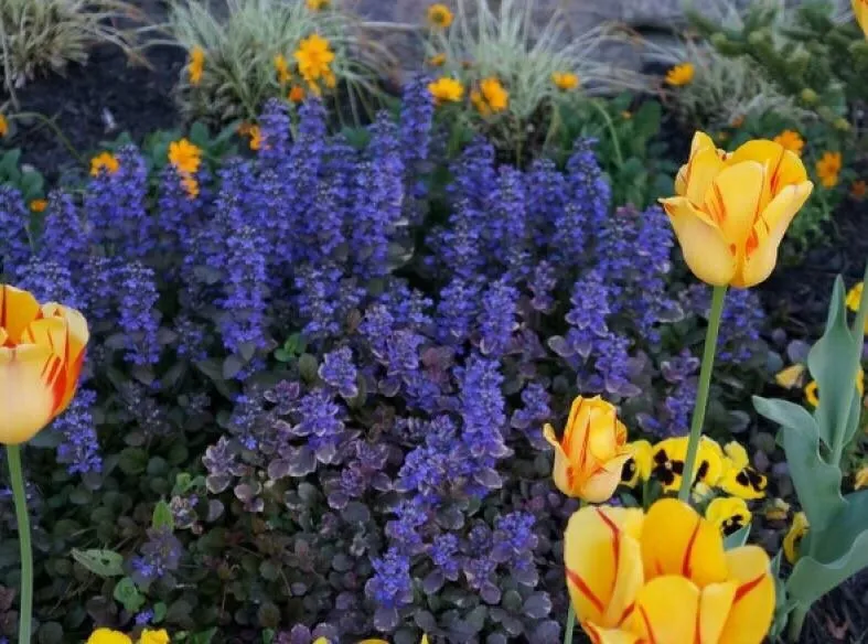 Trusted yard cleanup service in Columbia, MD by Green Angels Landscaping