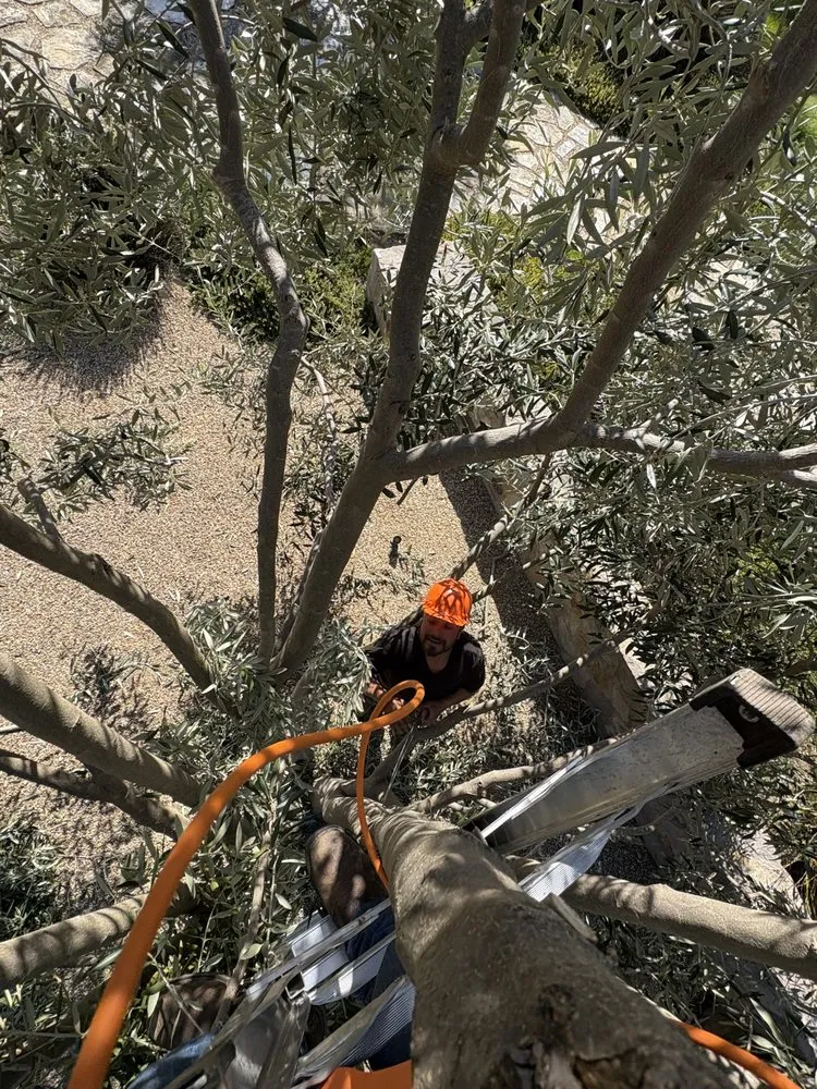 Trusted landscape installation for residential properties across Salinas, CA - Green Angels