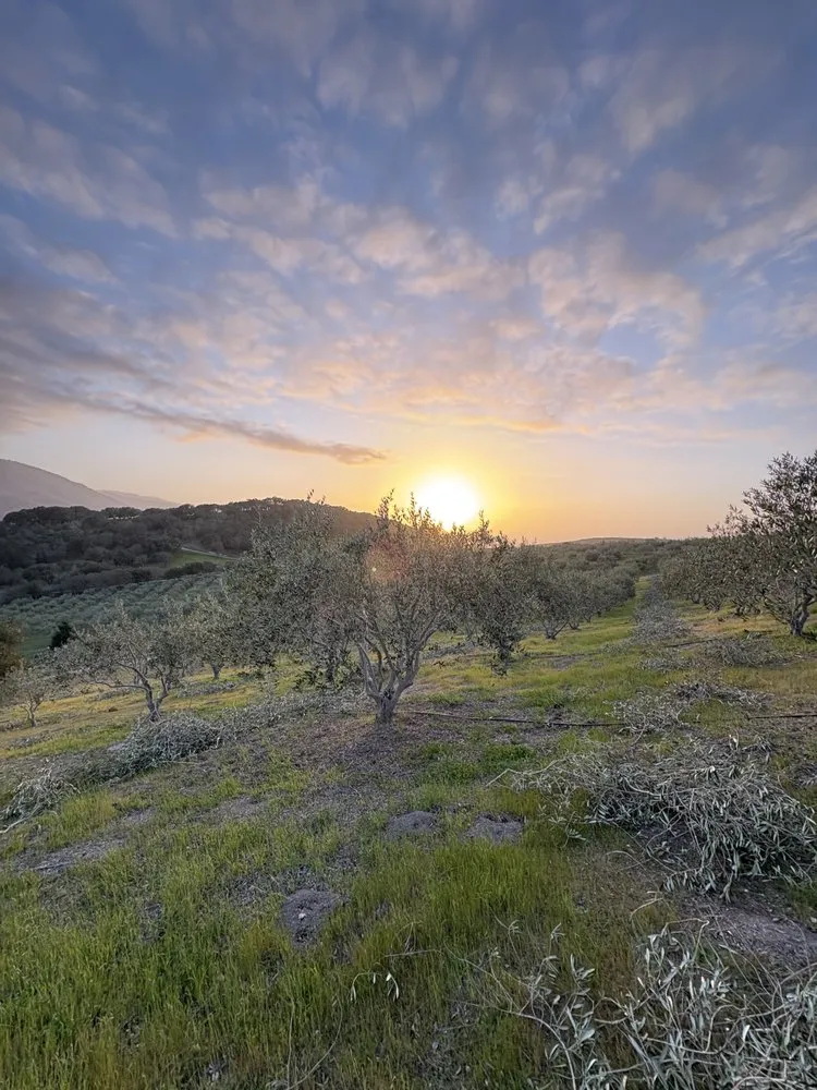 Reliable landscape installation for outdoor upgrades in Salinas, CA by Green Angels