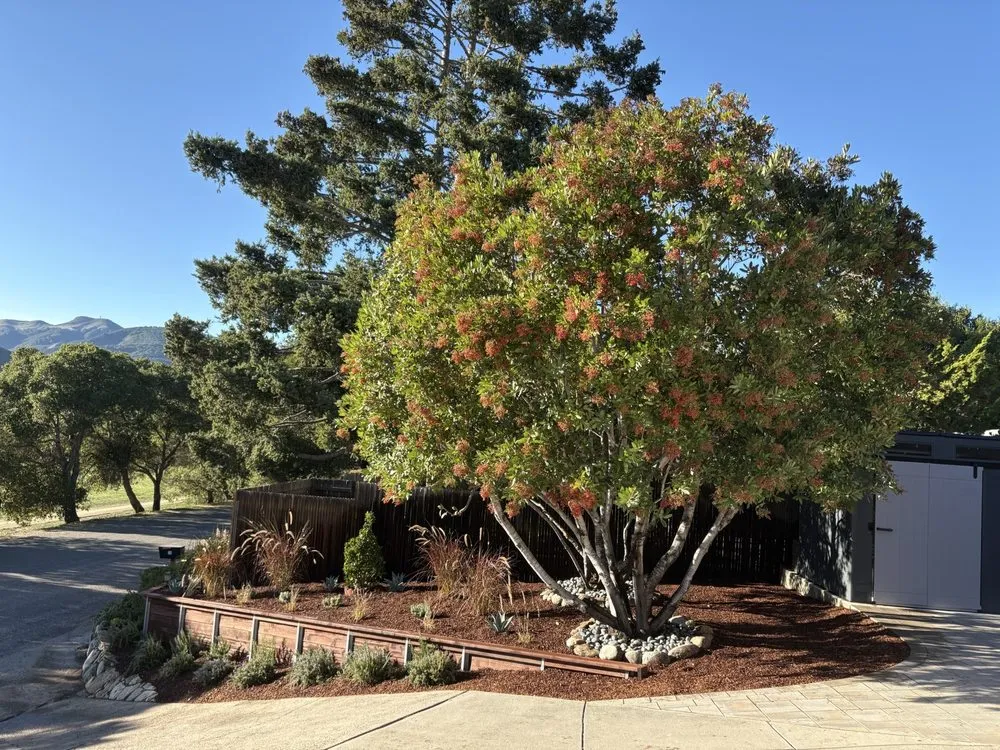 Professional lawn care service in Salinas, CA - Green Angels