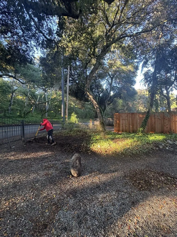 Affordable lawn care service experts serving Salinas, CA - Green Angels