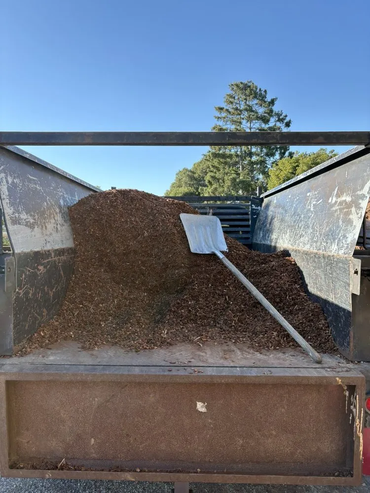 Top-rated yard cleanup service in Salinas, CA - Green Angels