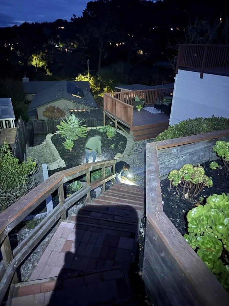 Trusted yard maintenance in Salinas, CA - Green Angels