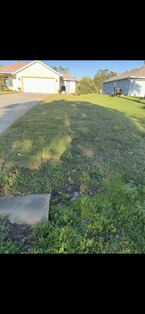 Local landscape design in North Port, FL by Green Apes Solutions