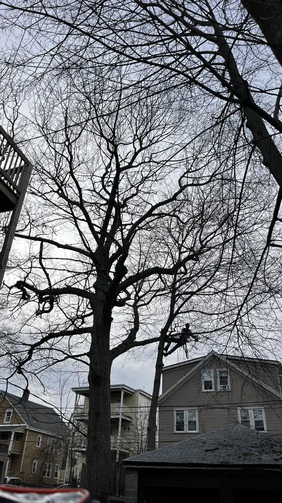 Affordable lawn mowing service experts serving Plymouth, MA - Green Arbor Tree & Property